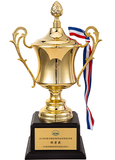 中國航海學(xué)會科學(xué)技術(shù)獎特等獎