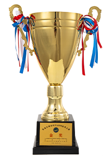 首屆全國水利行業(yè)BIM應(yīng)用大賽金獎