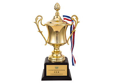 中國(guó)航海學(xué)會(huì)科學(xué)技術(shù)獎(jiǎng)特等獎(jiǎng)